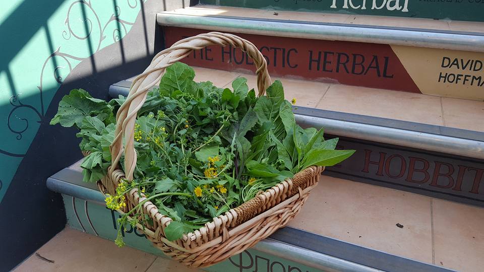 this is a basket of wild greens miranda has forages but it won't work as a title image because no faces