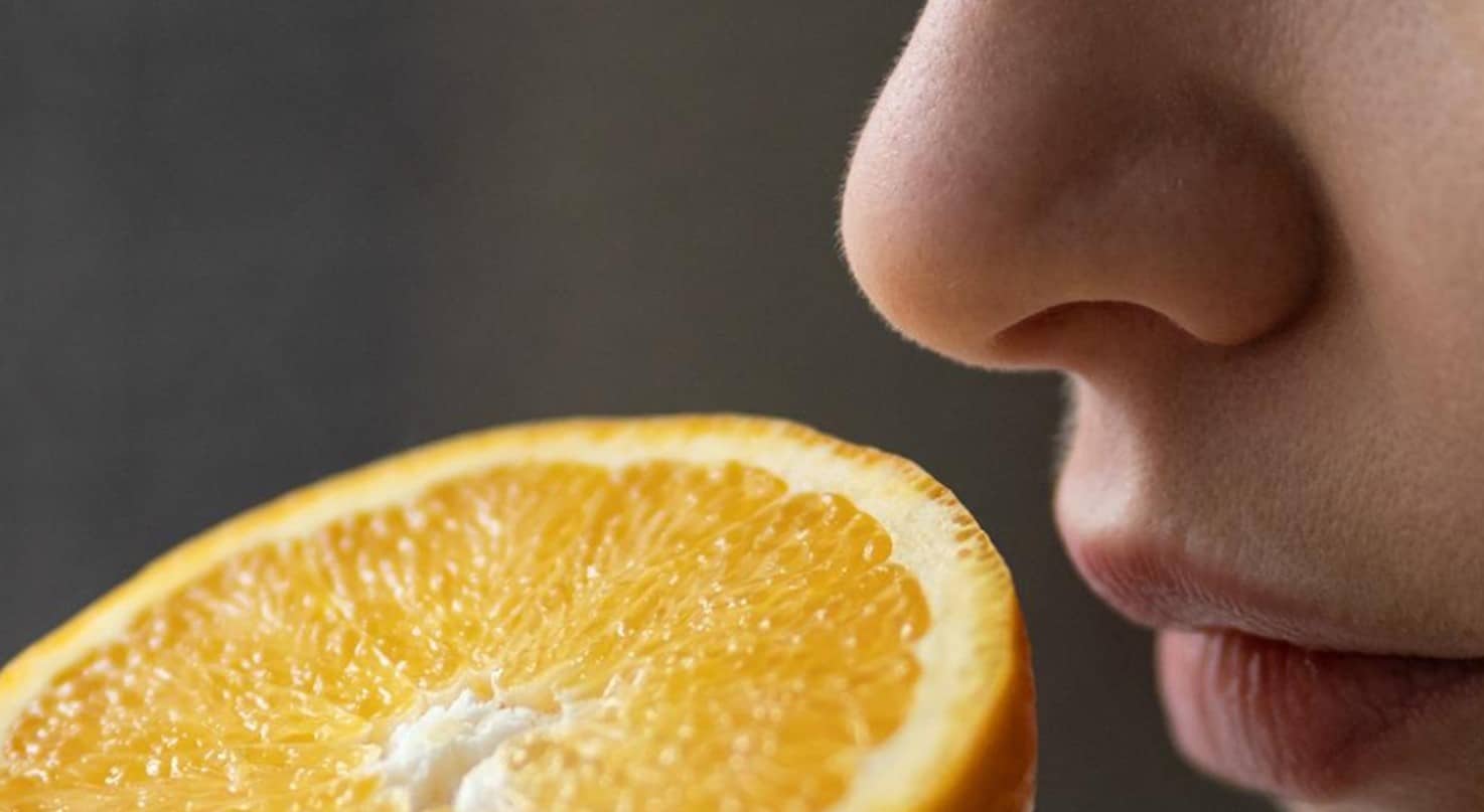 image Smell trouble: the fight for the powers of the nose