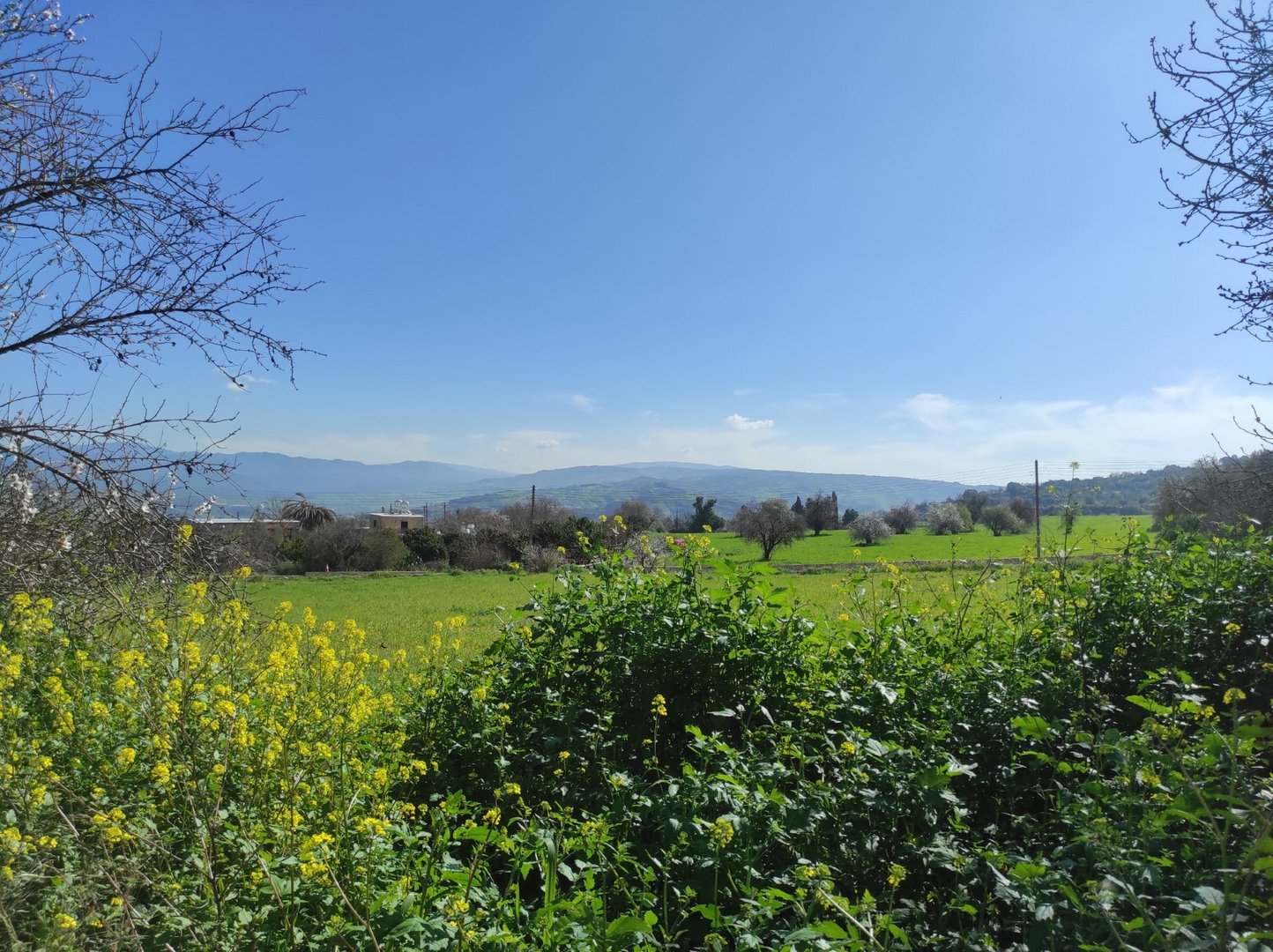 cover Today&#8217;s weather: Clear with rising temps