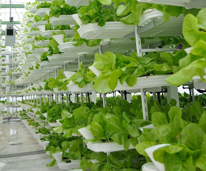 Four myths about vertical farming debunked