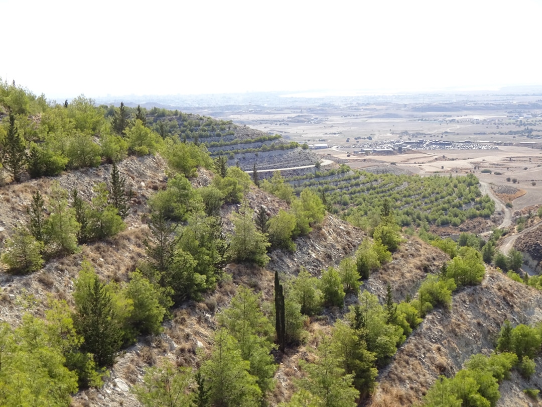 image The value of Cyprus’ green ‘trailblazers’