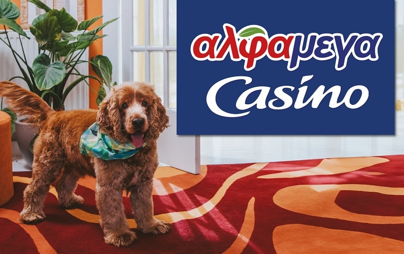 image New Alphamega TV spot celebrates tie with Casino