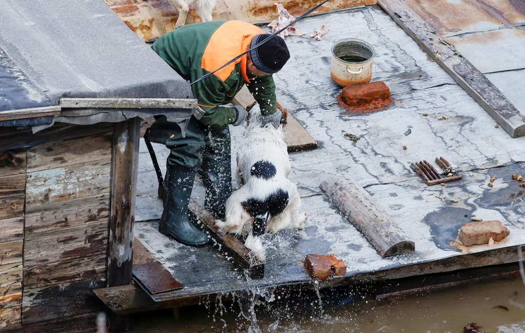 image &#8216;We&#8217;re like Noah&#8217;s ark&#8217; says animal shelter in flooded Russian city