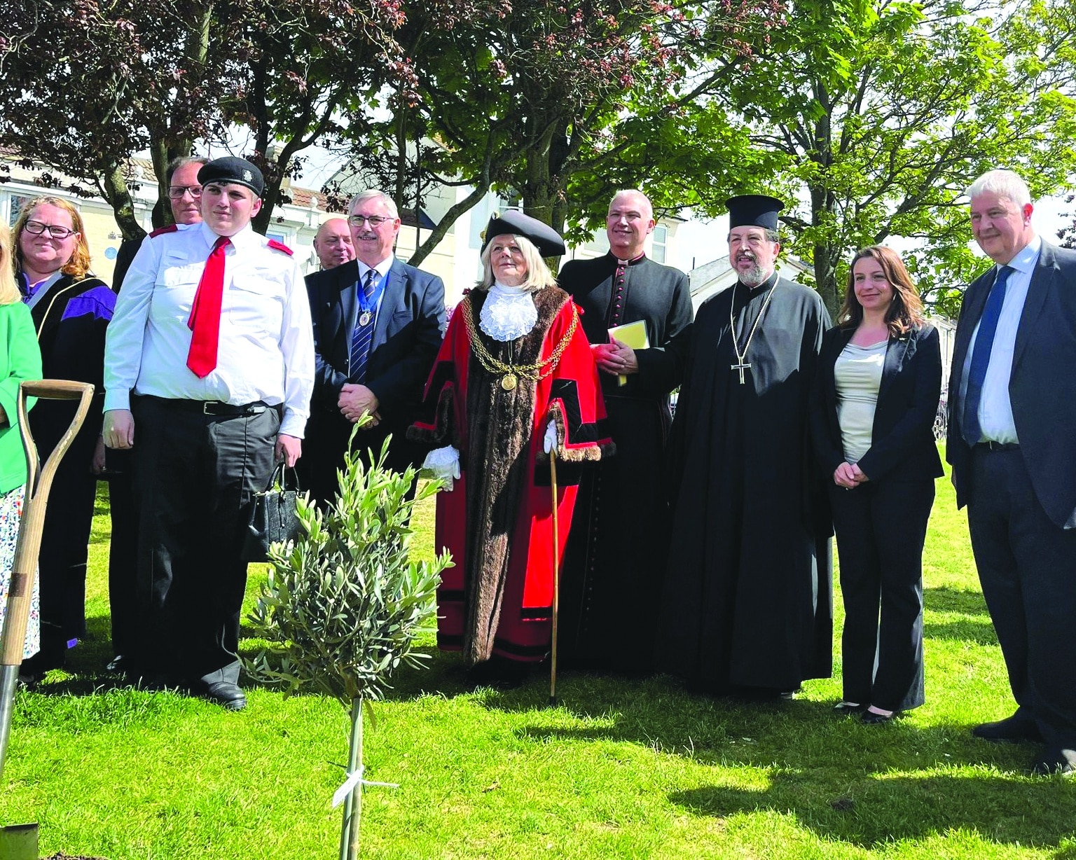cover Tree planted in UK for peace in Cyprus ‘vandalised’
