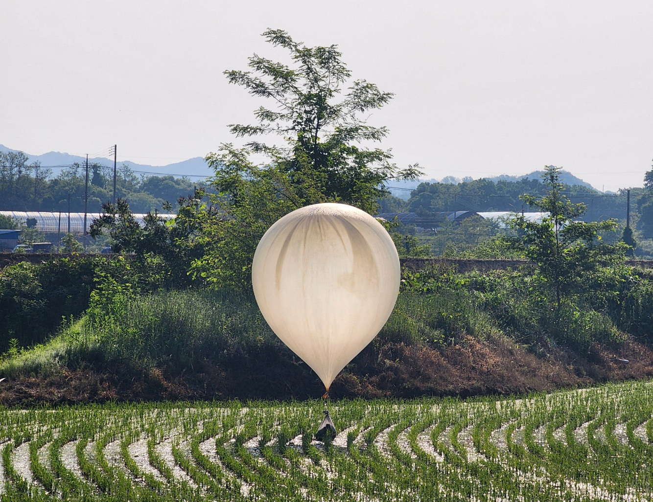 image S.Korea accuses North of sending balloons with excrement across border