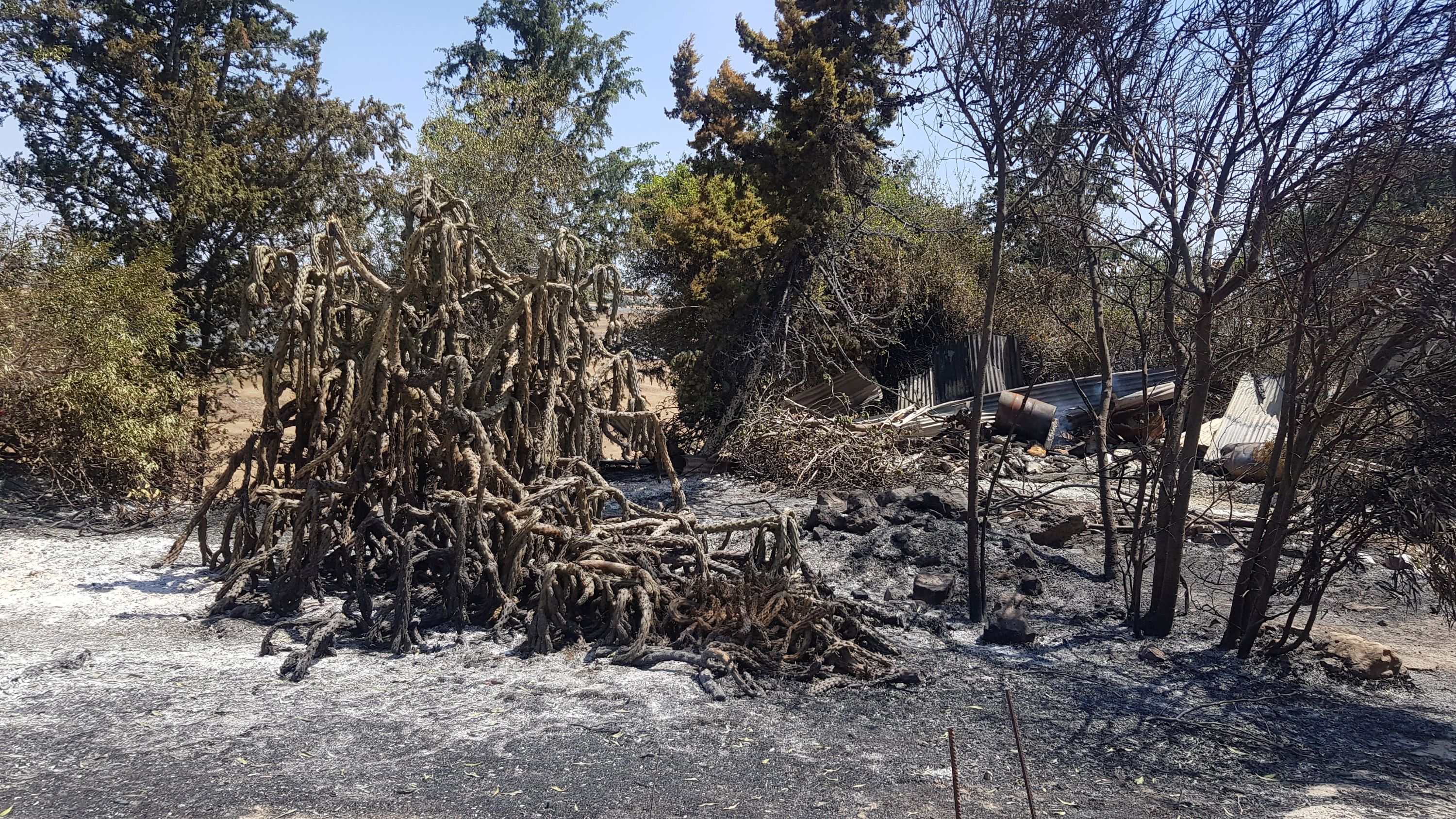 cover Nearly two dozen homes damaged in Paphos fire