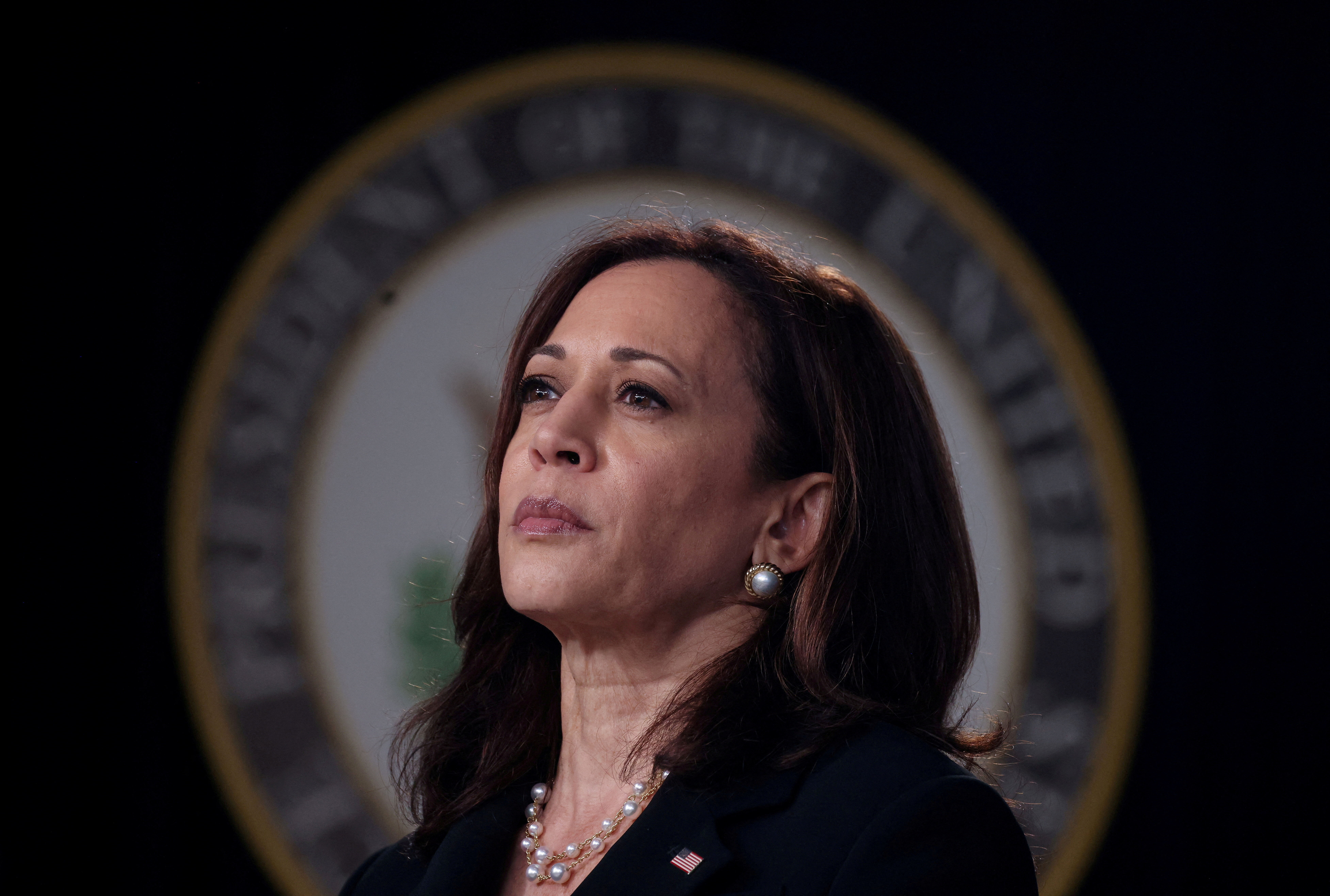 Many Democrats back Harris in 2024 race, but Pelosi, Obama silent