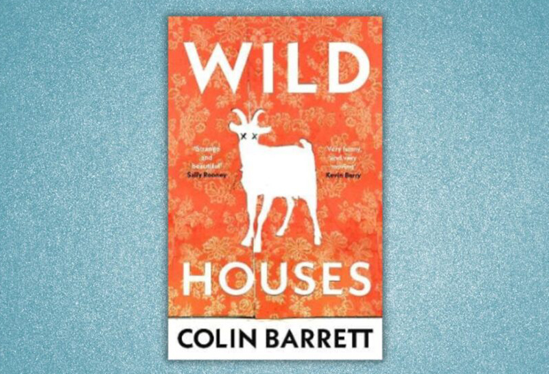 Book Review: Wild Houses by Colin Barrett