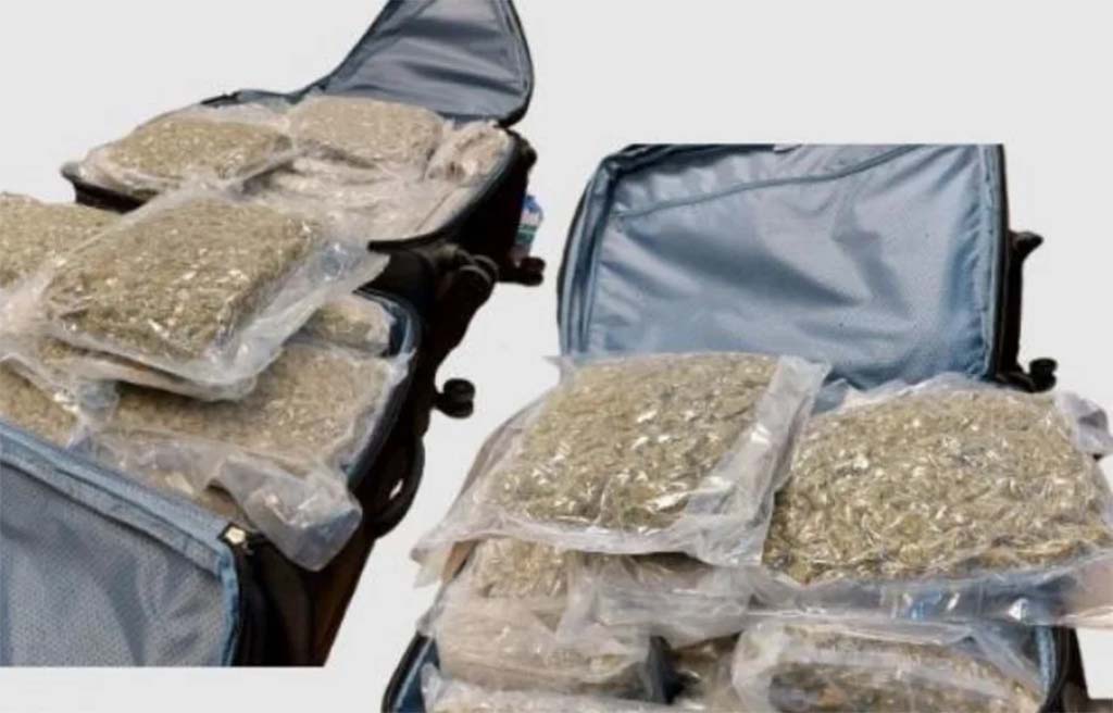 British woman jailed for import of 16kg of cannabis