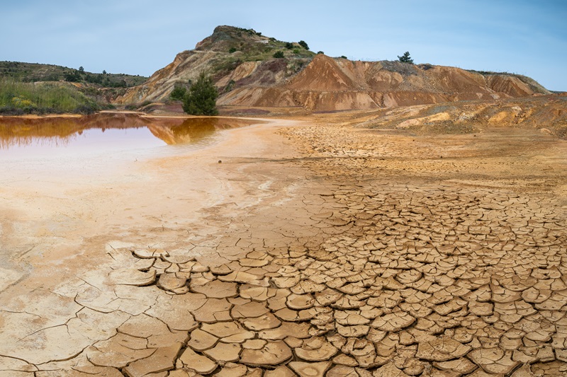 Terrasafe seeks to save Cyprus from desertification