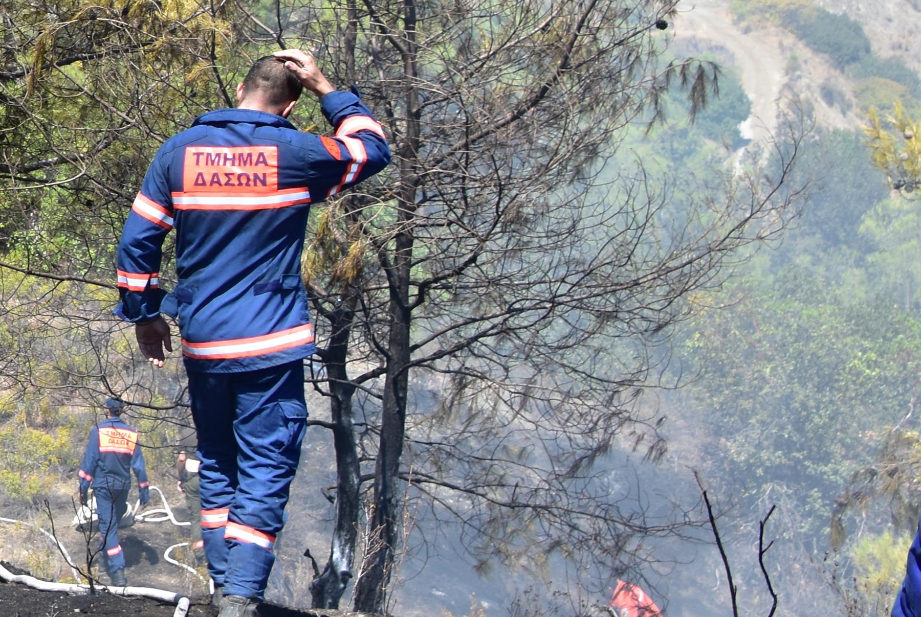 Fires in Limassol district