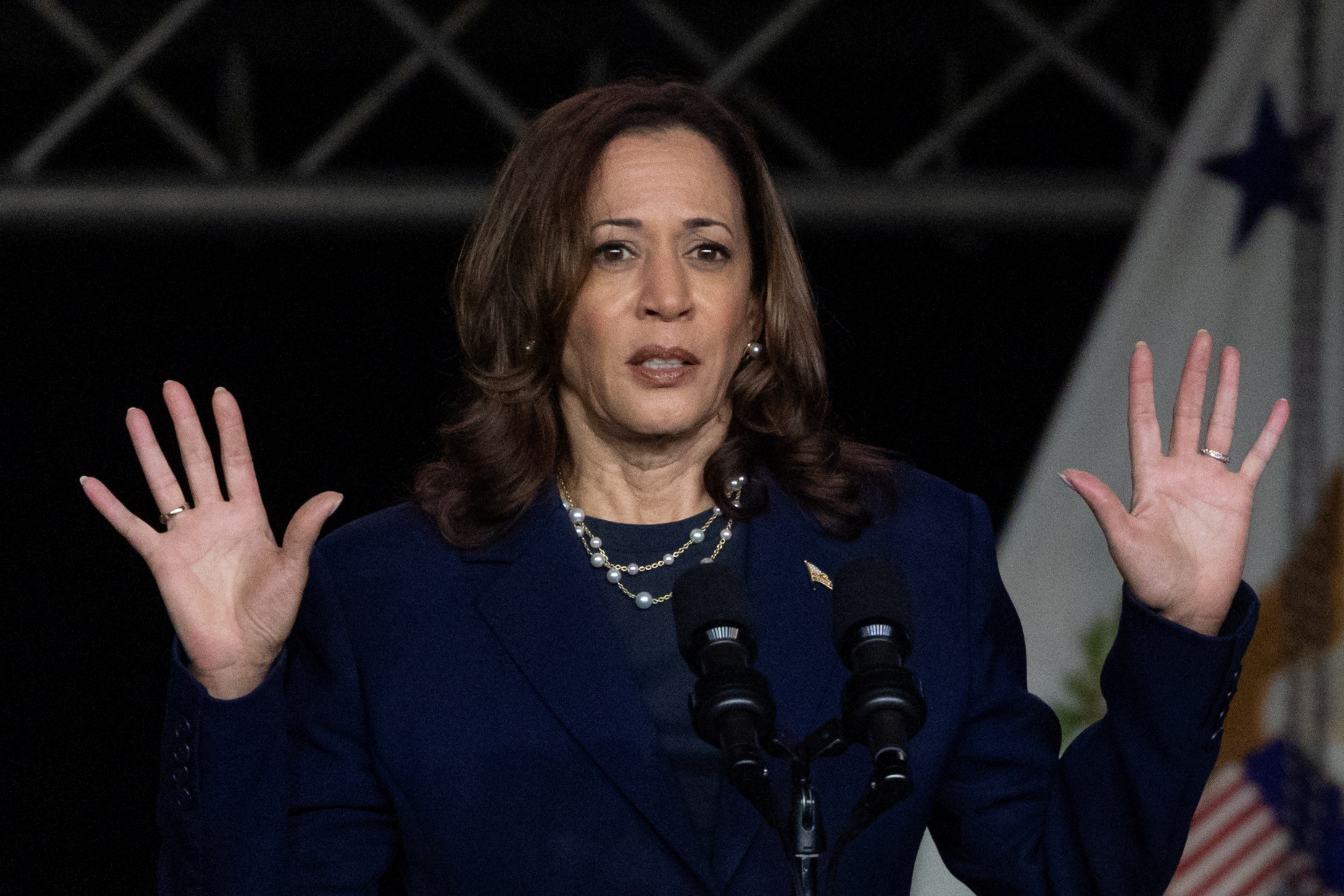 ‘Is she Indian or Black?’ Trump questions Harris’ identity at Black journalists’ convention