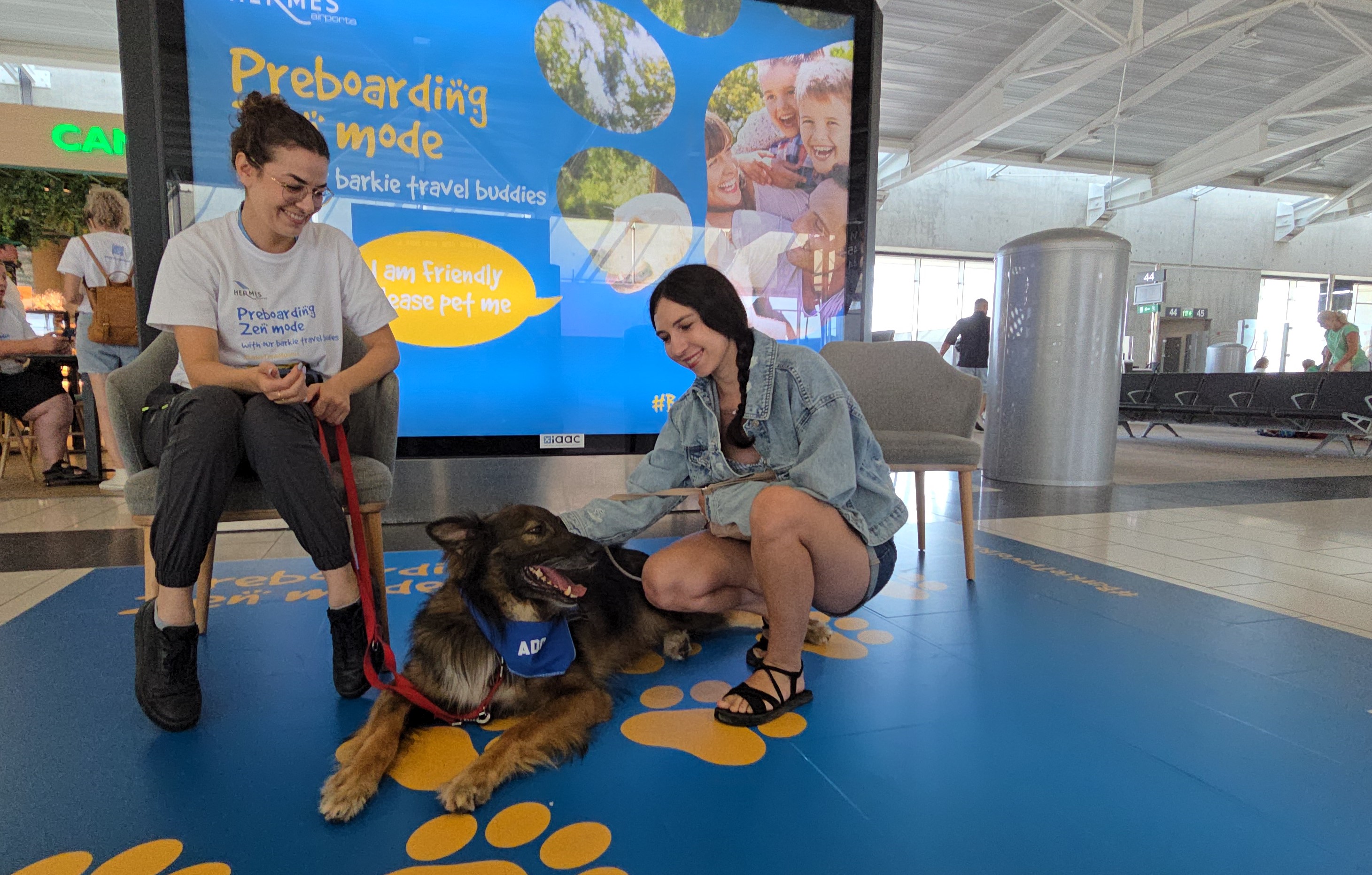 Larnaca airport deploys dogs to calm nervous flyers