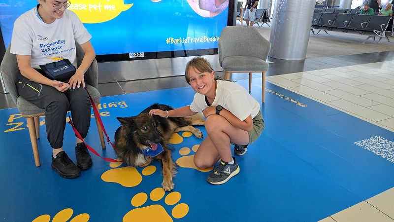 Hermes Airports: travel experience accompanied by dogs