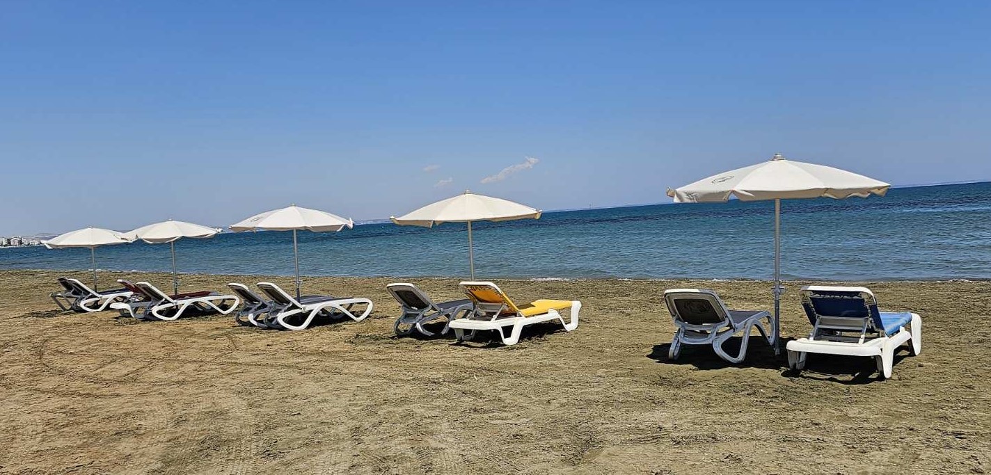 Larnaca revamps dog beach with free facilities