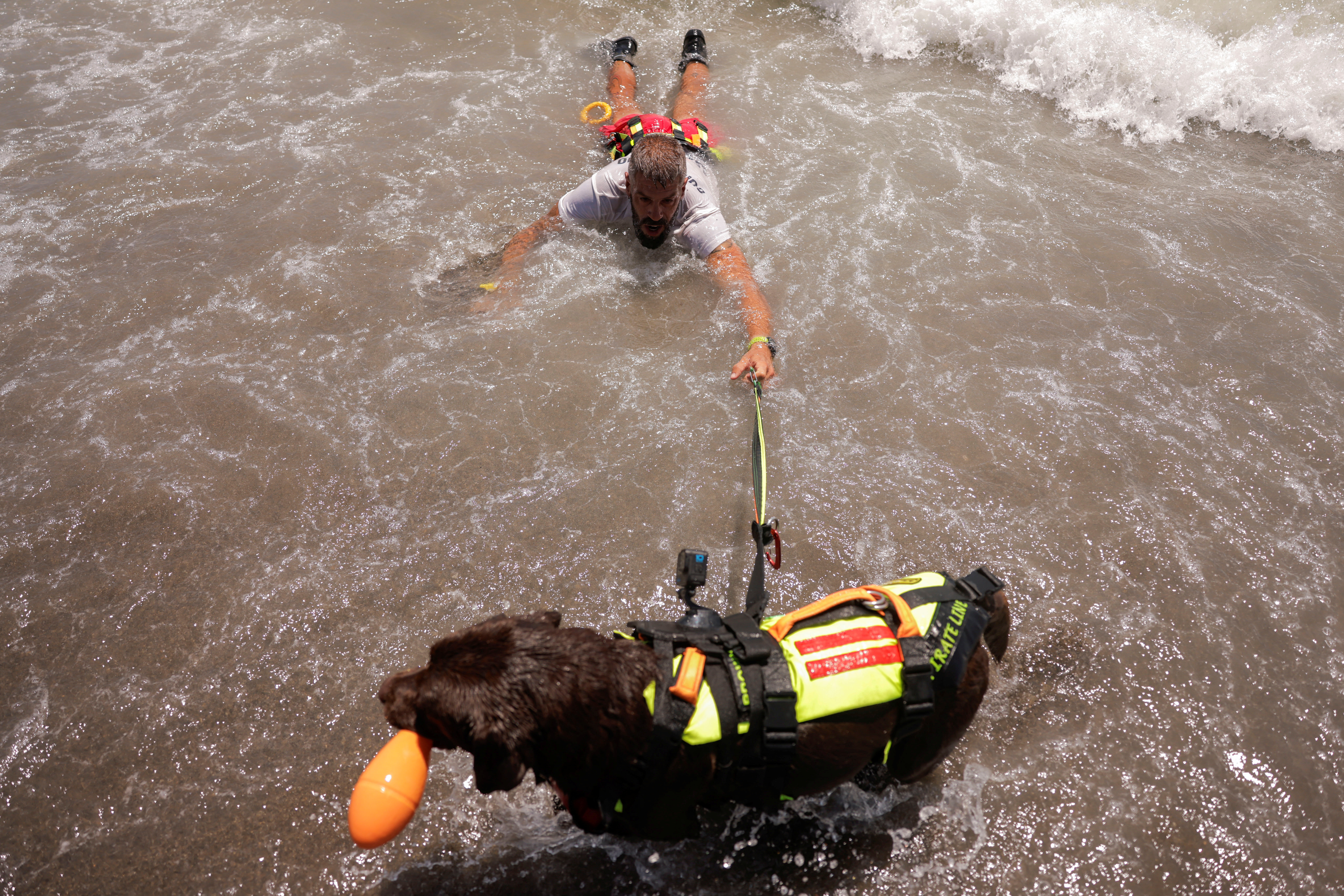 image Paws to the rescue: trained dogs help save lives at Spanish beach