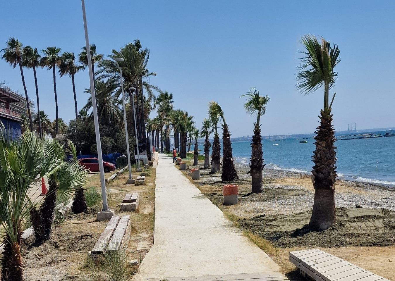 Tourism board plants palm trees in Larnaca