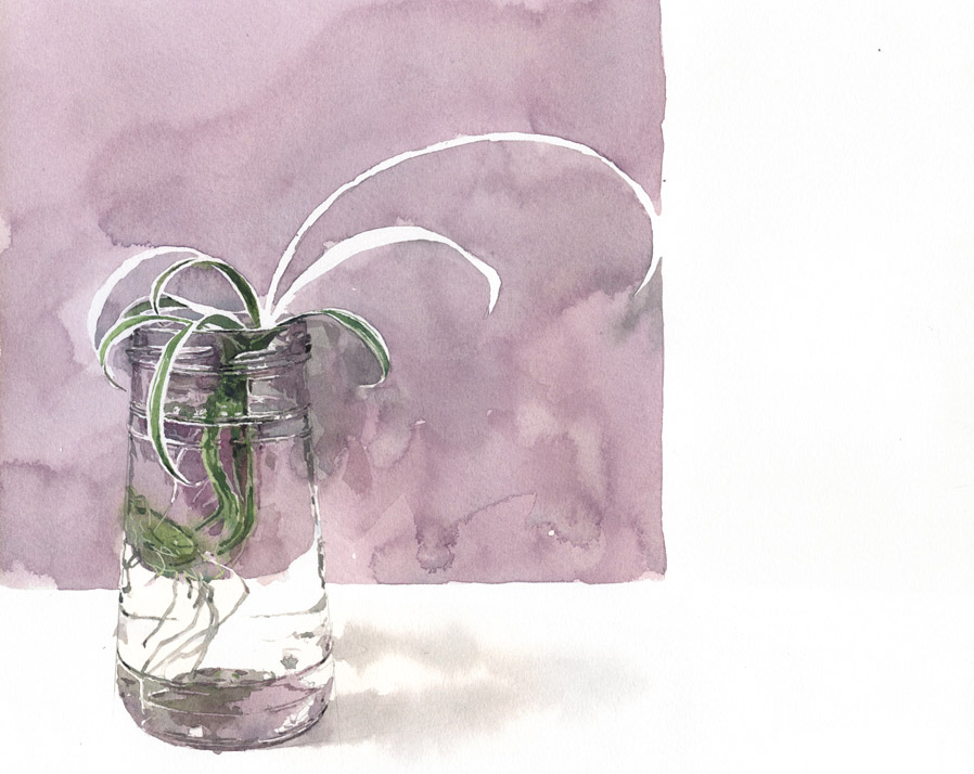 Artist’s encounters with plants on show