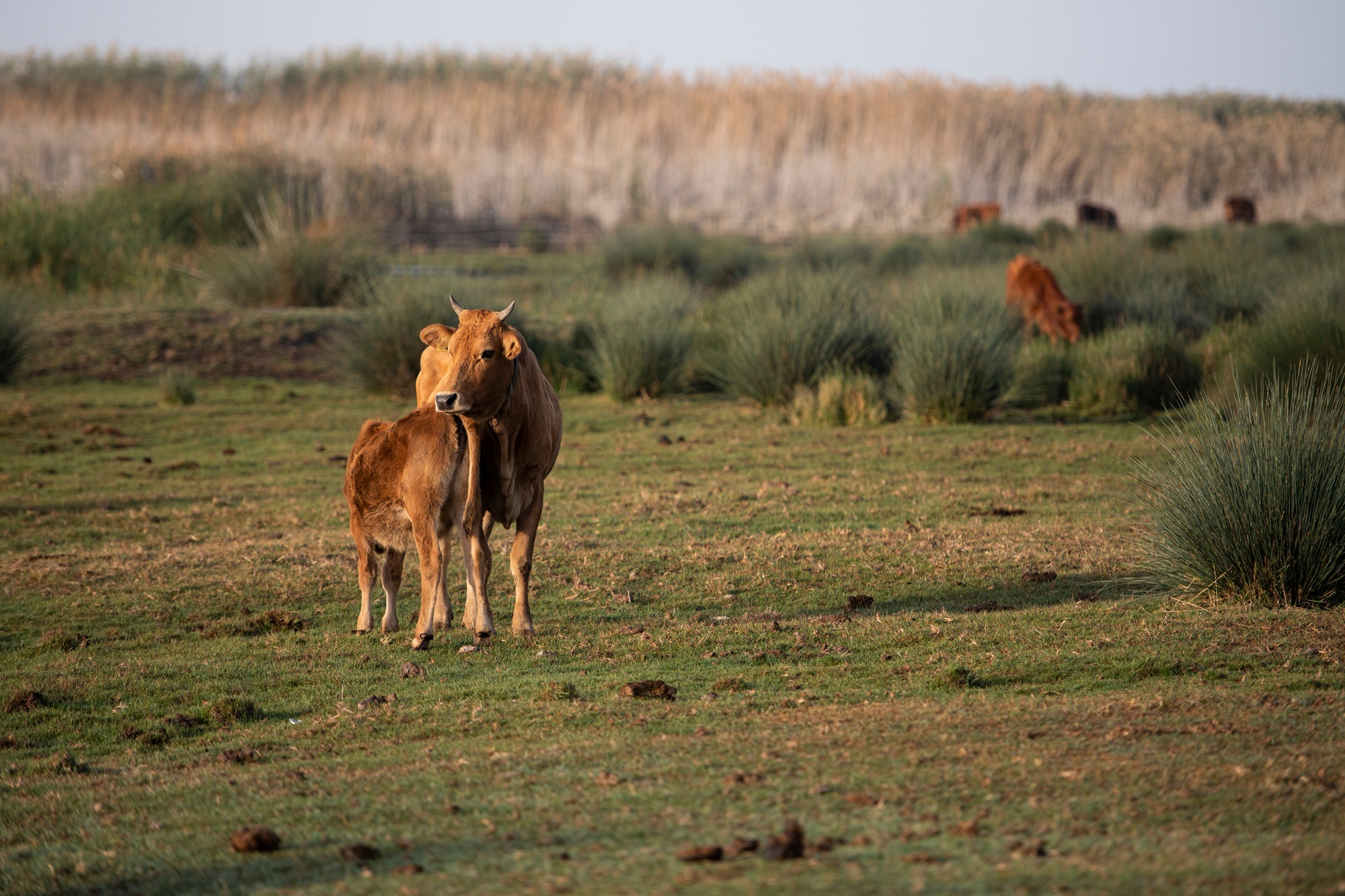 Environmental protection project wraps in Akrotiri