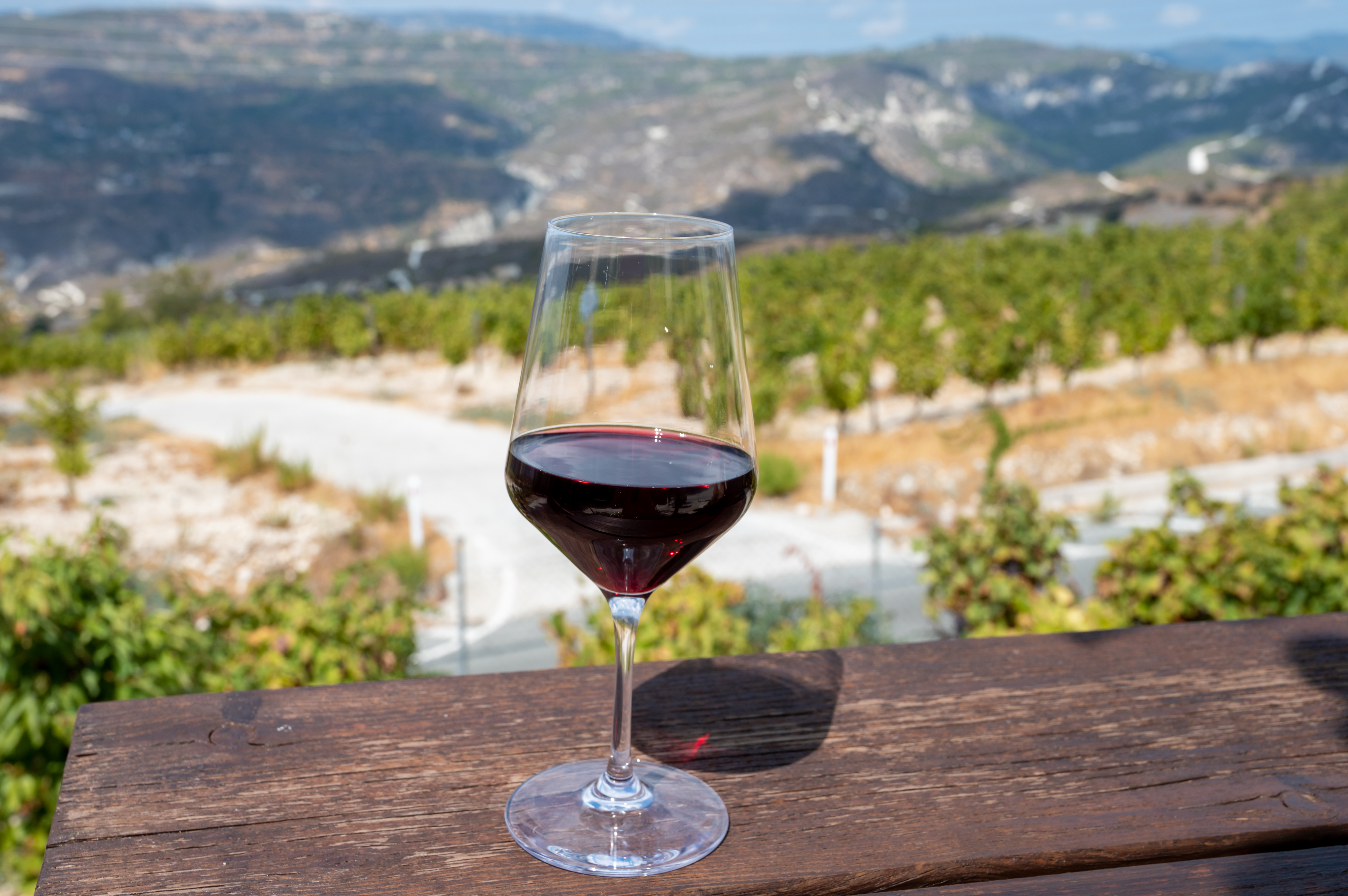 Growing interest in wine boosts sommelier profession in Cyprus