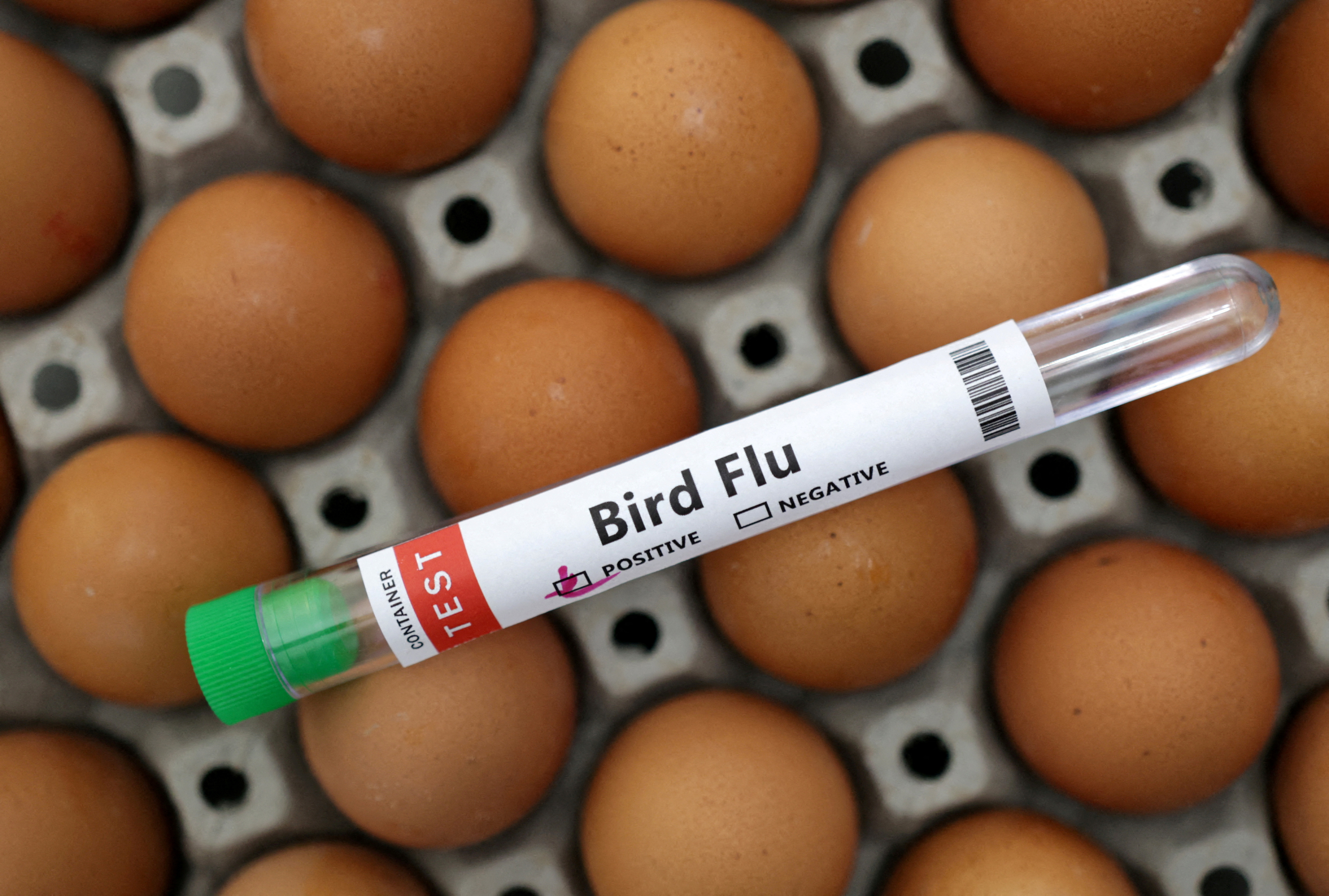 California confirms third human case of bird flu, finds more possible cases