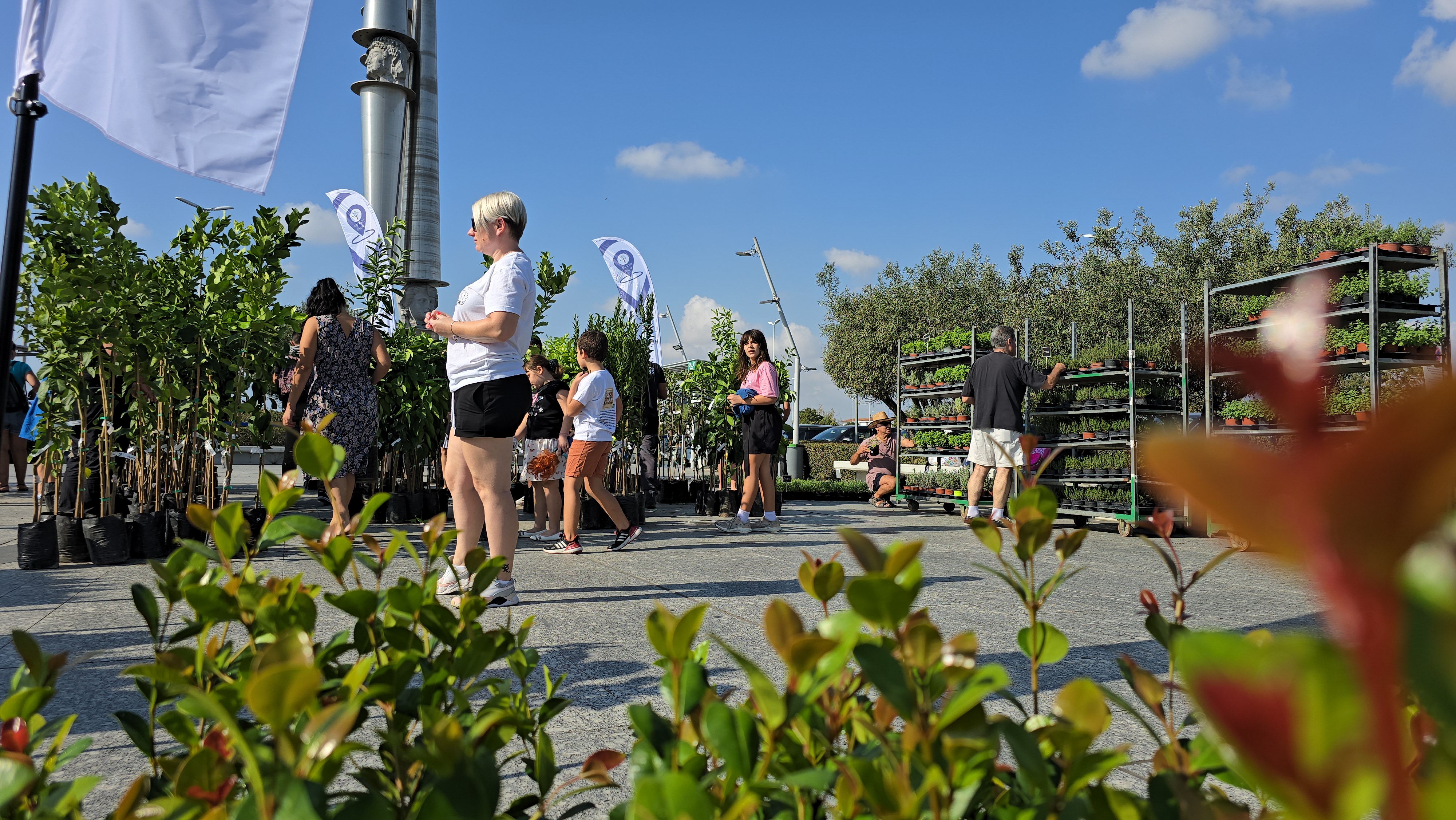 More than 2,000 plants handed out at Larnaca airport