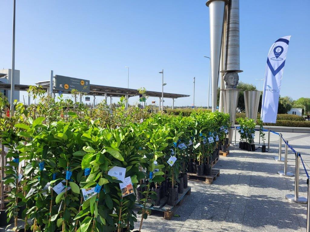 Hermes airport giving out free trees to the public