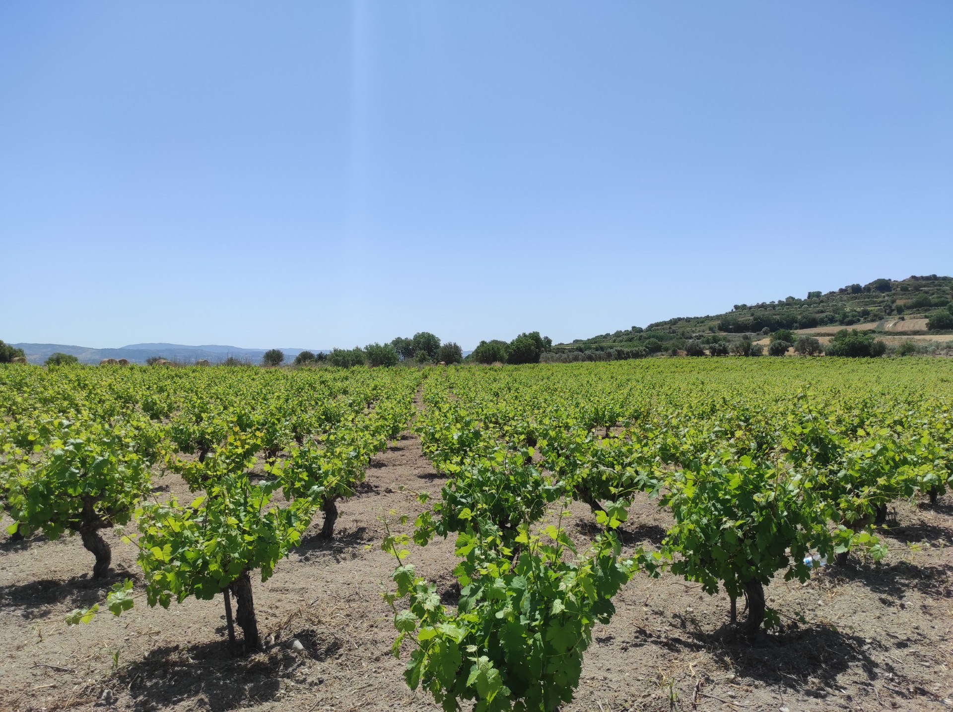 image Sunny and clear with cooler temperatures