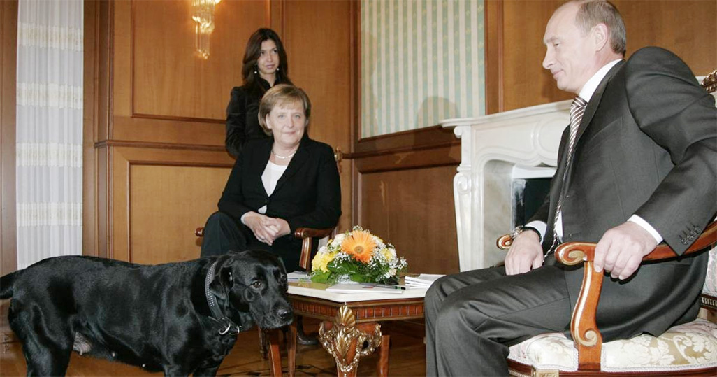 Putin denies he tried to frighten Merkel with dog Koni