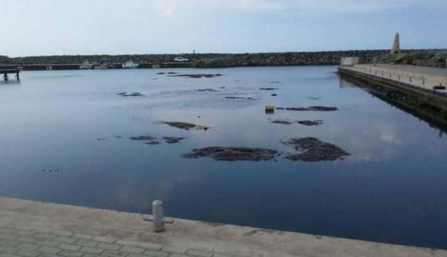 Kato Pyrgos marine environment in immediate danger, say NGOs