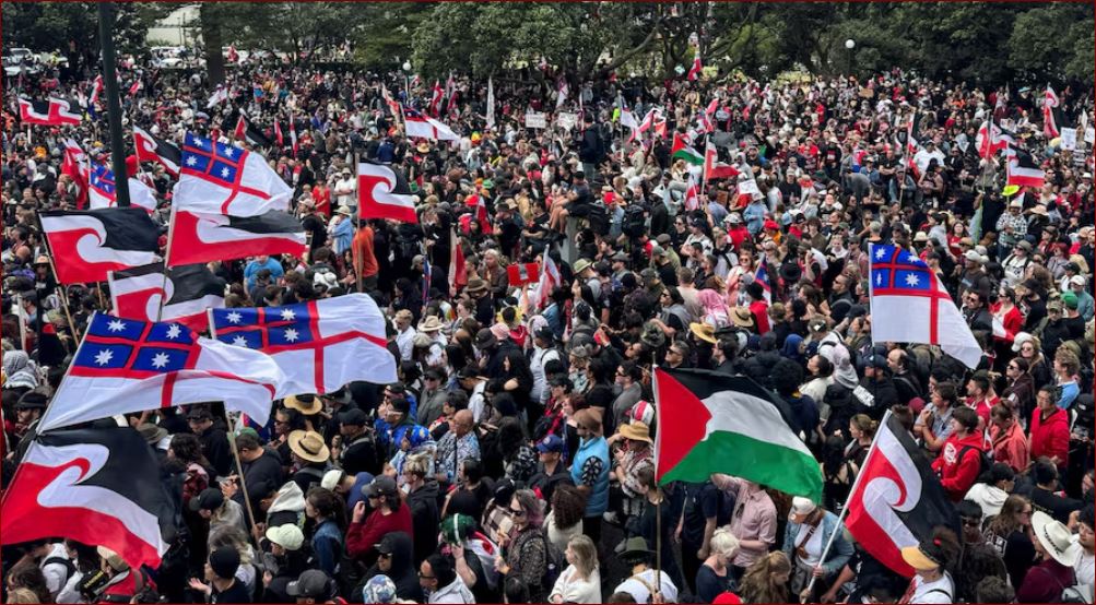 Thousands rally at New Zealand parliament against bill to alter Maori rights