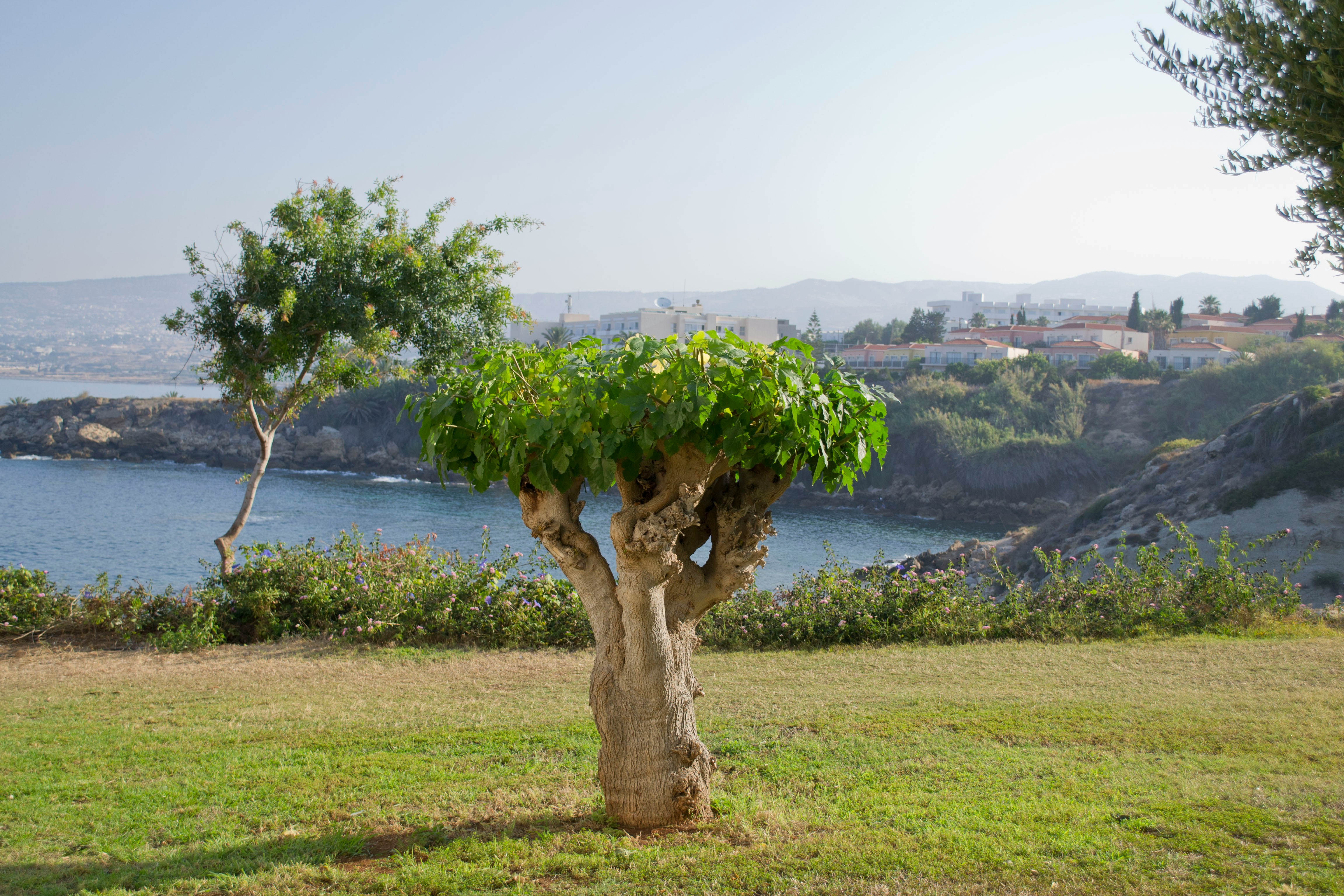 Paphos secures green tourism award