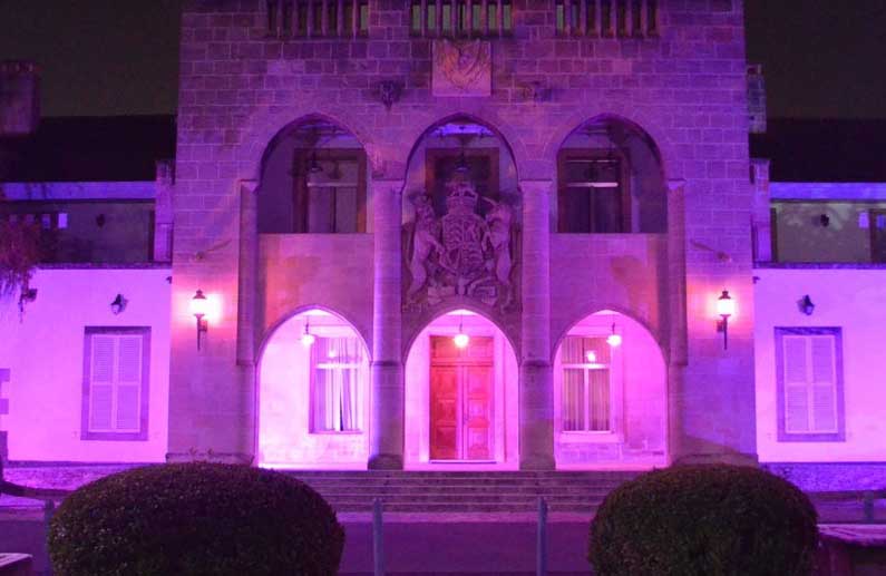 Presidential palace lit up purple for pancreatic cancer campaign