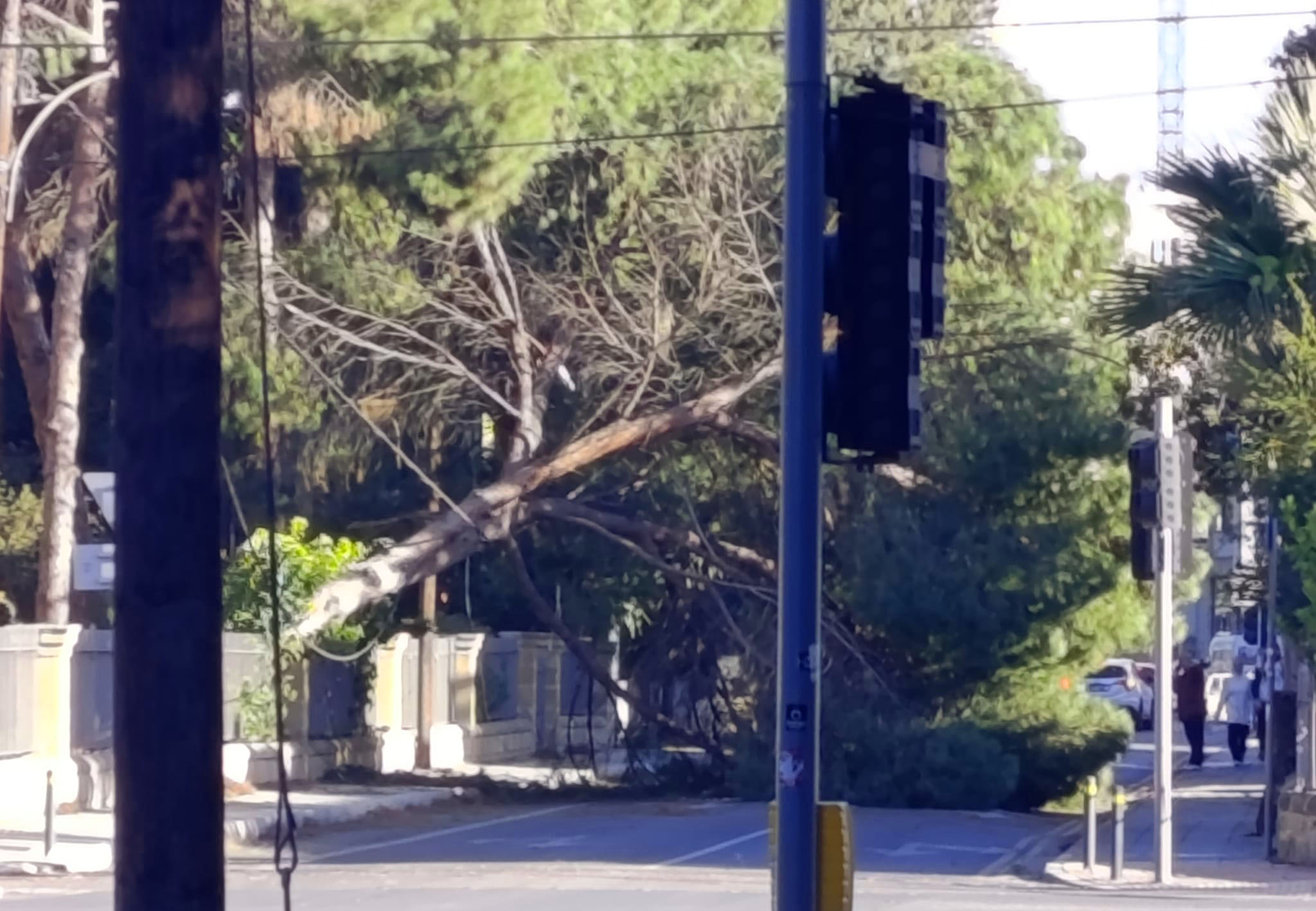 Strong winds cause chaos around Cyprus (photos)