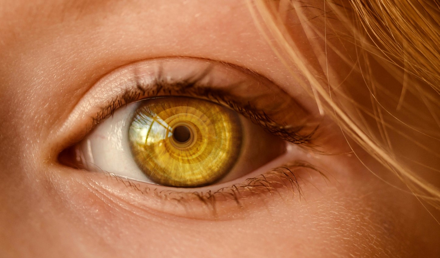 Fresh eyesight insights bring human eye into sharp focus