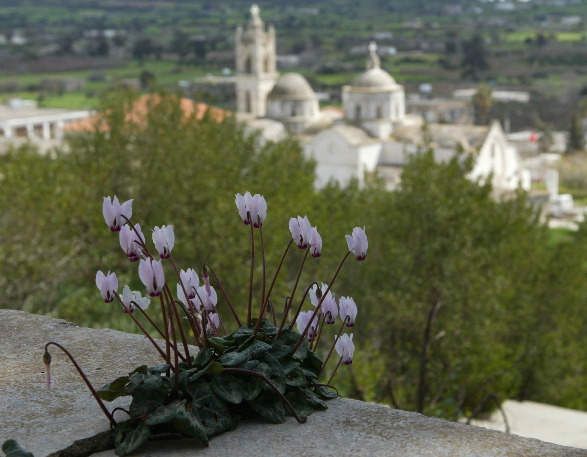 More funds for Greek Cypriots living in north