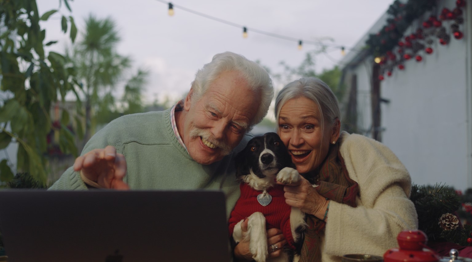 image CAPSBOLD and Tribe HR launch Christmas campaign supporting Sirius Dog Sanctuary 