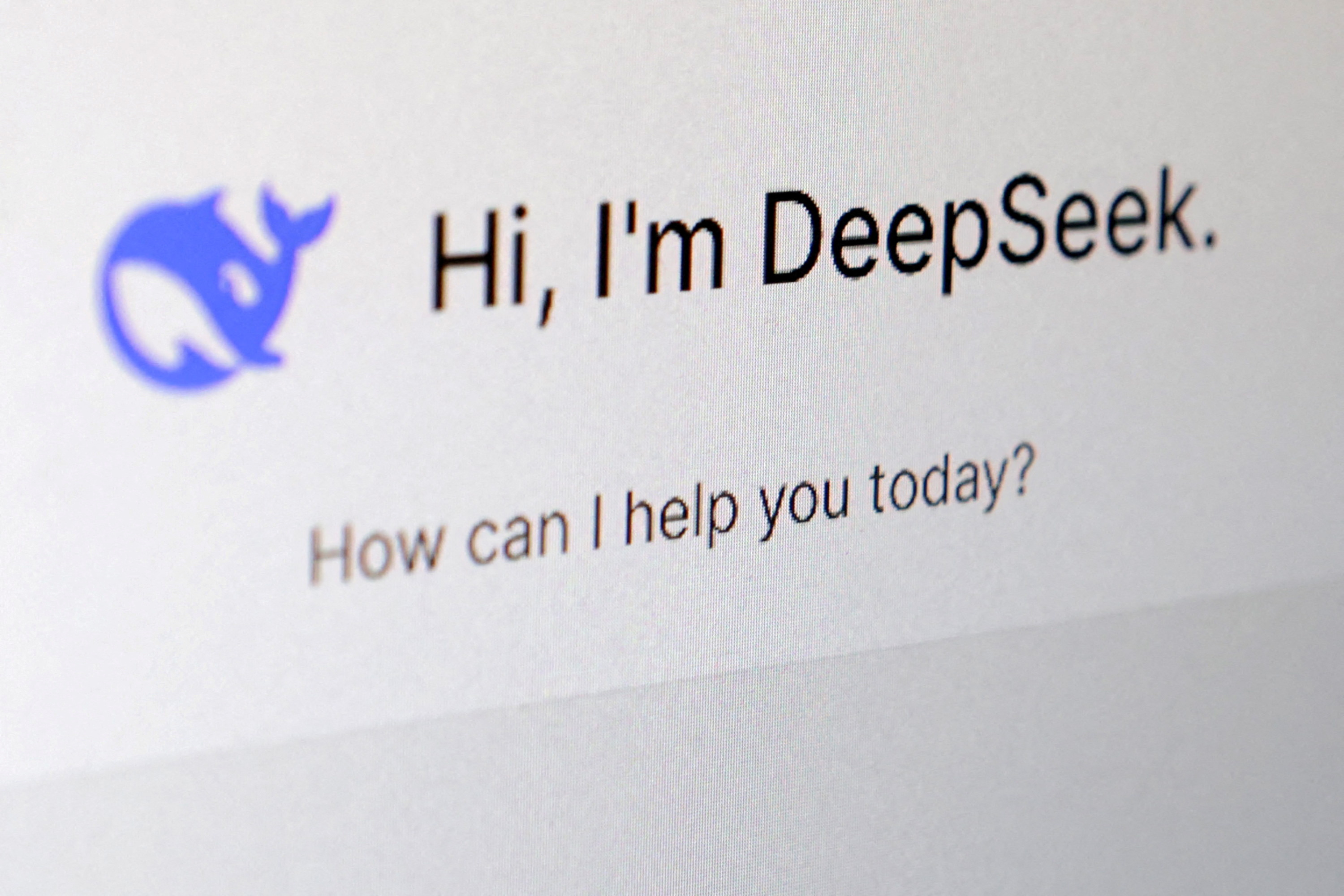 French privacy watchdog to quiz DeepSeek on AI, data protection