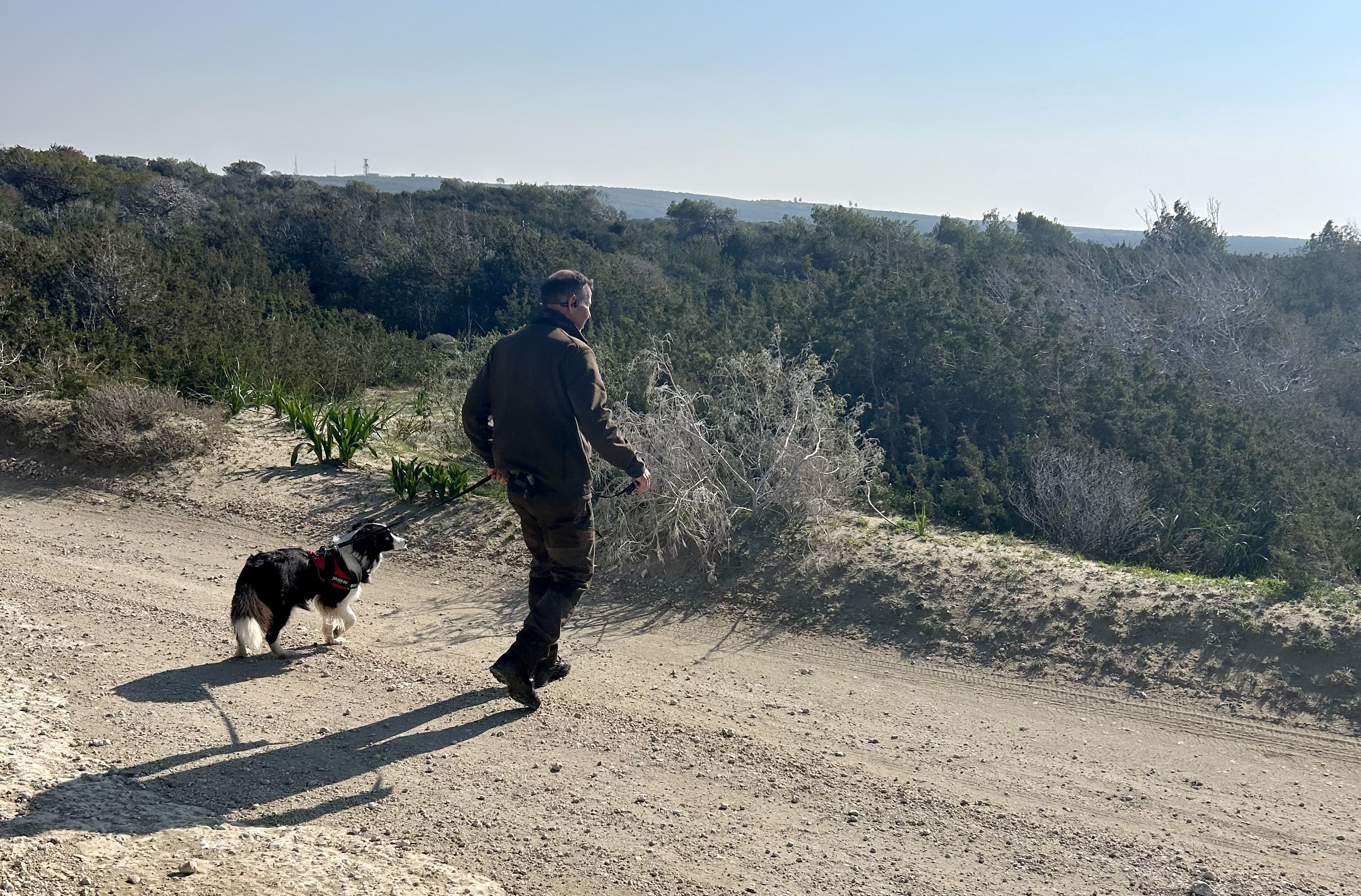 Dogs and foxes poisoned in Akrotiri and Episkopi