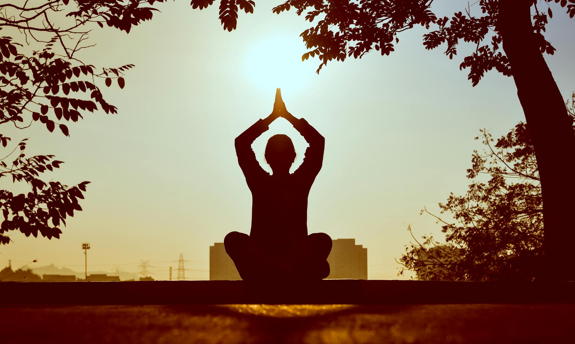 Mindful molecules – science is decoding the health benefits of meditation