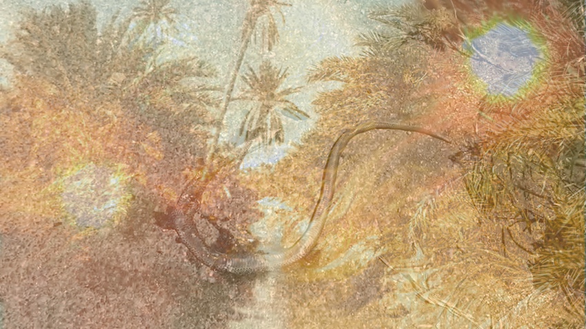 Exhibition looks into the unseen