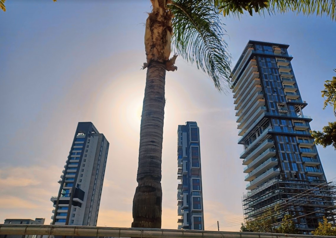 Cyprus sees strong rebound in luxury property sales