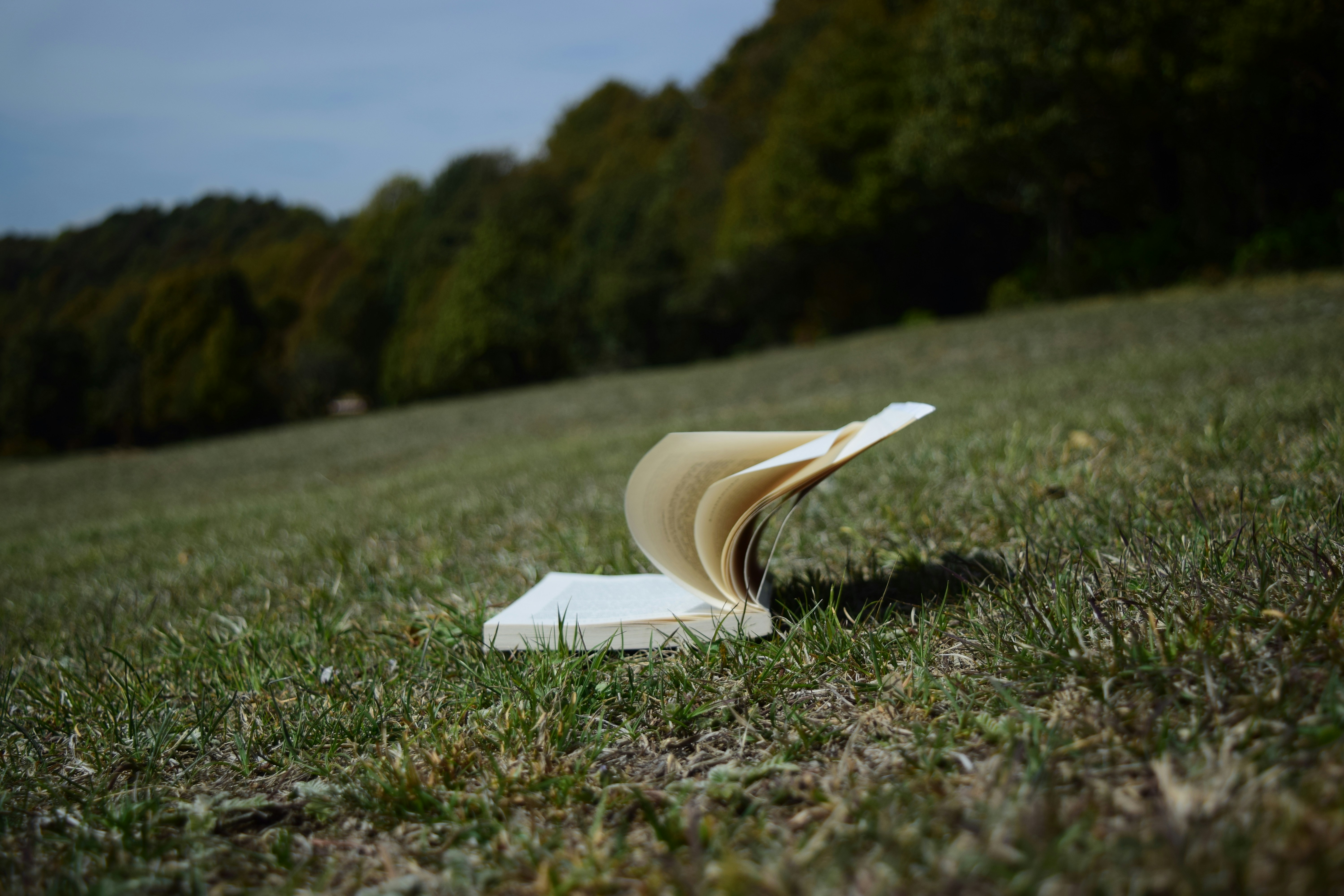 Rural book fest brings literature to the mountains