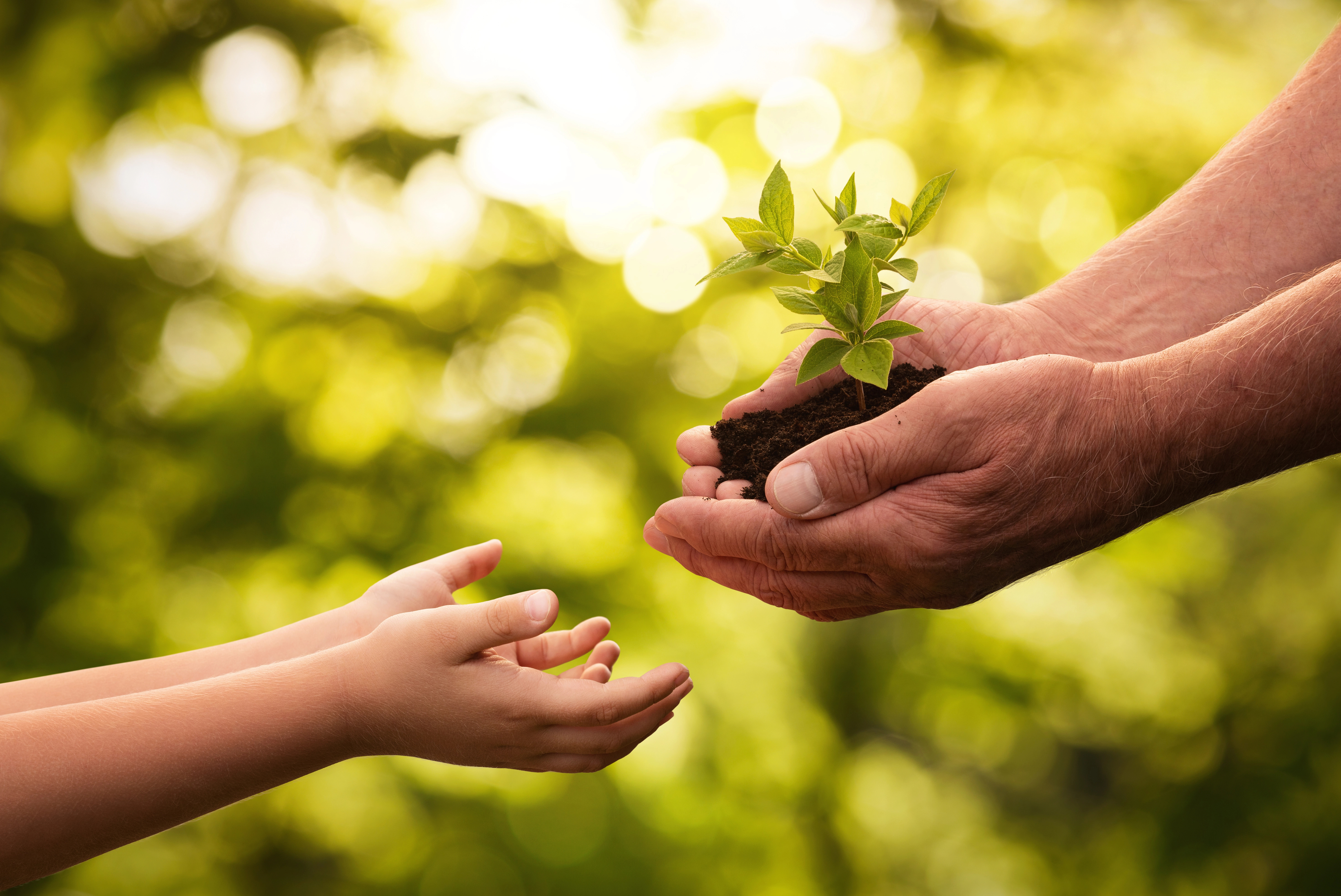 cover Cyprus goes green on World Tourism Day