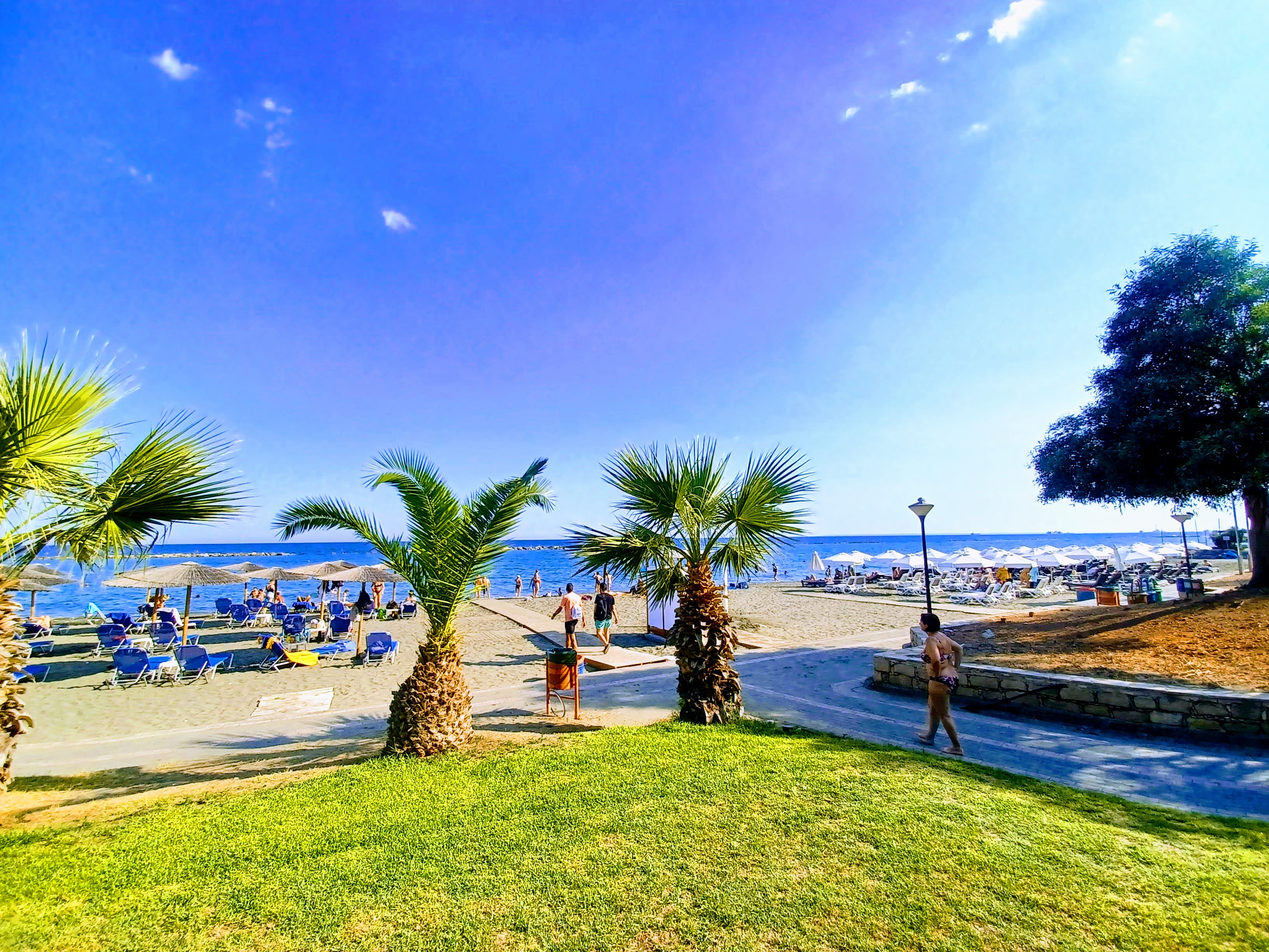 cover Cyprus Business Now: BoC, hotel workers, Larnaca marina, foreign investments