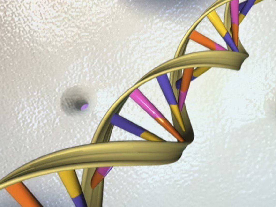 Three-person IVF technique spared children from inherited diseases, scientists say