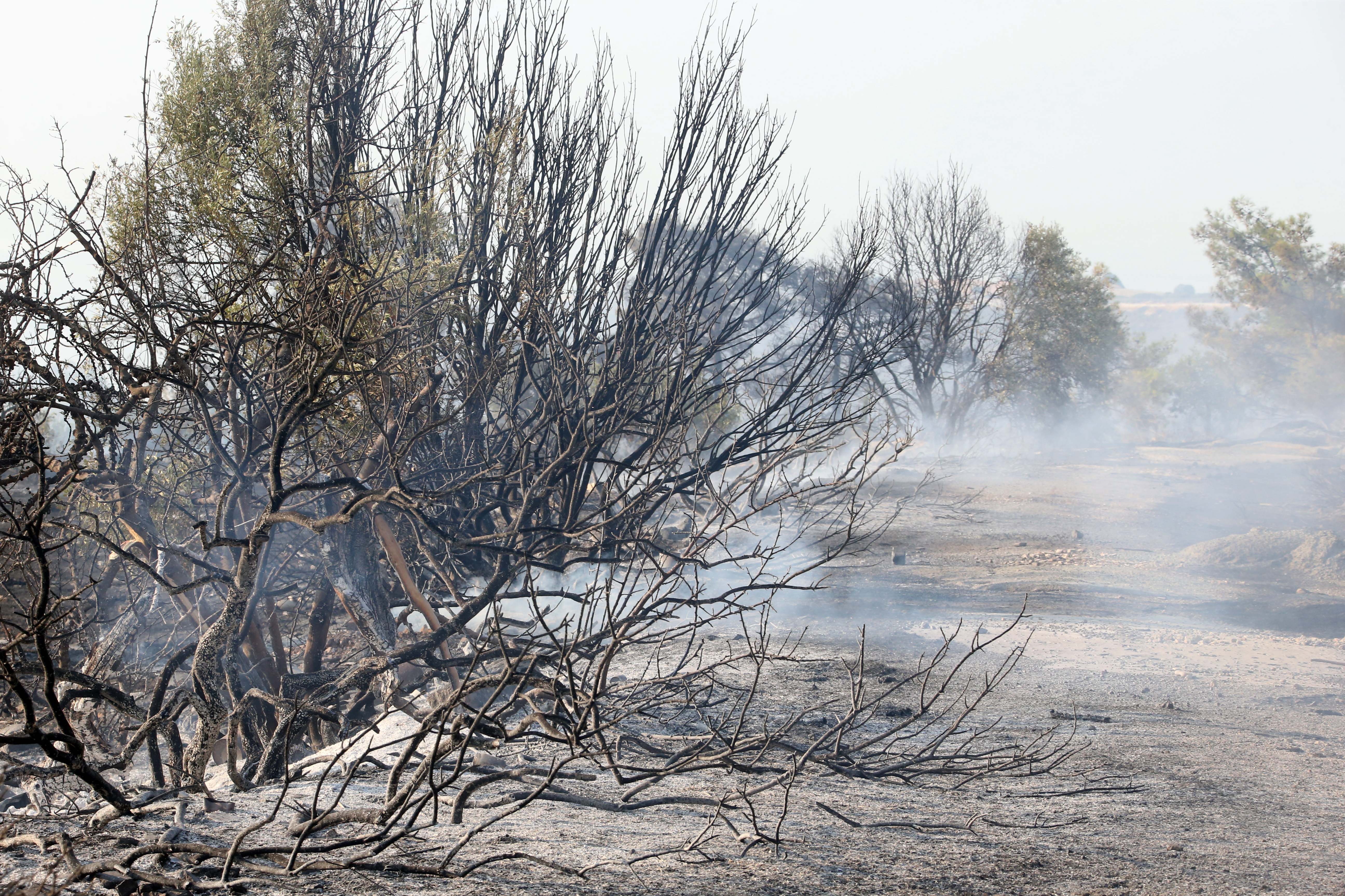 cover Wildfire’s hidden cost could exceed €20 million