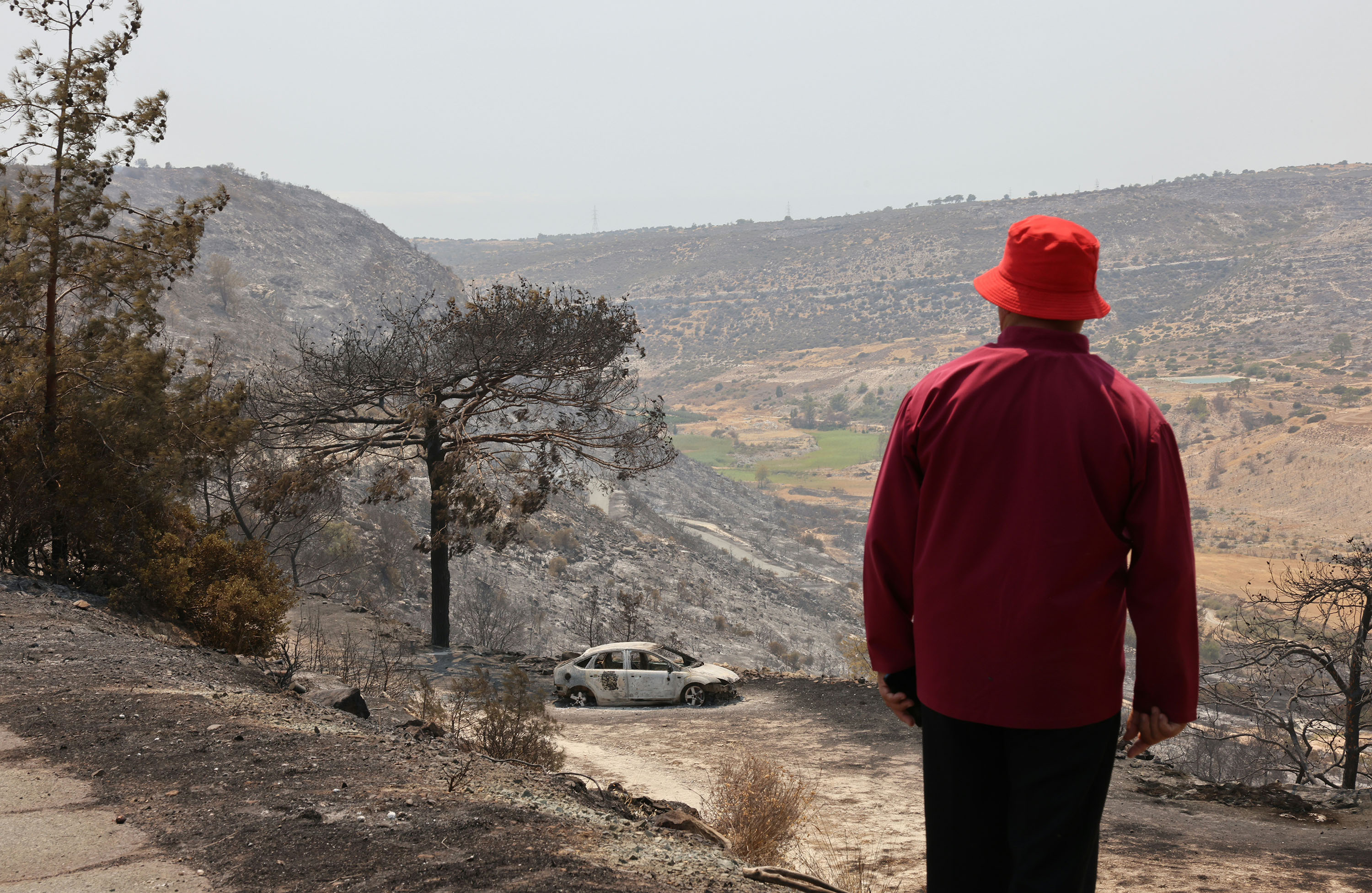 cover Lack of support for animals affected by wildfires