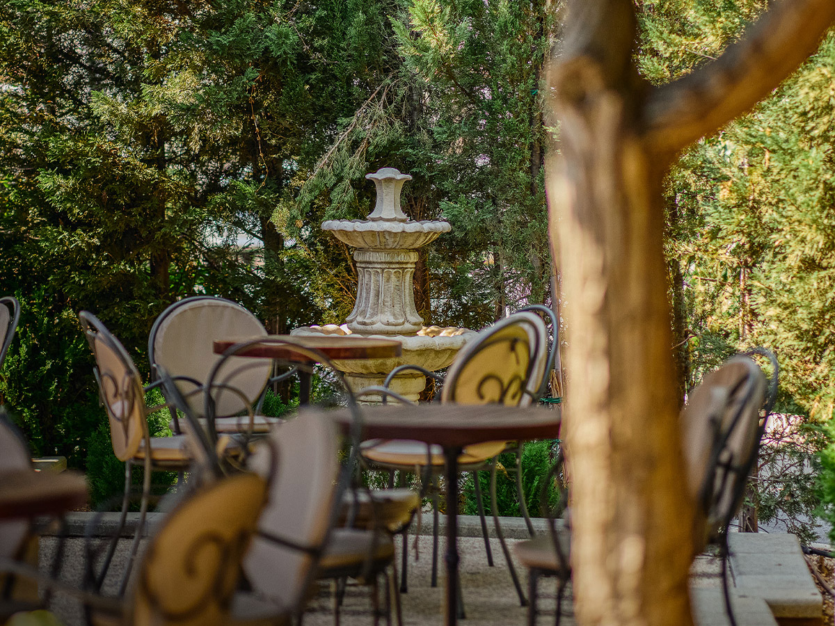 Audit Office finds irregularities in Academia park café tenders