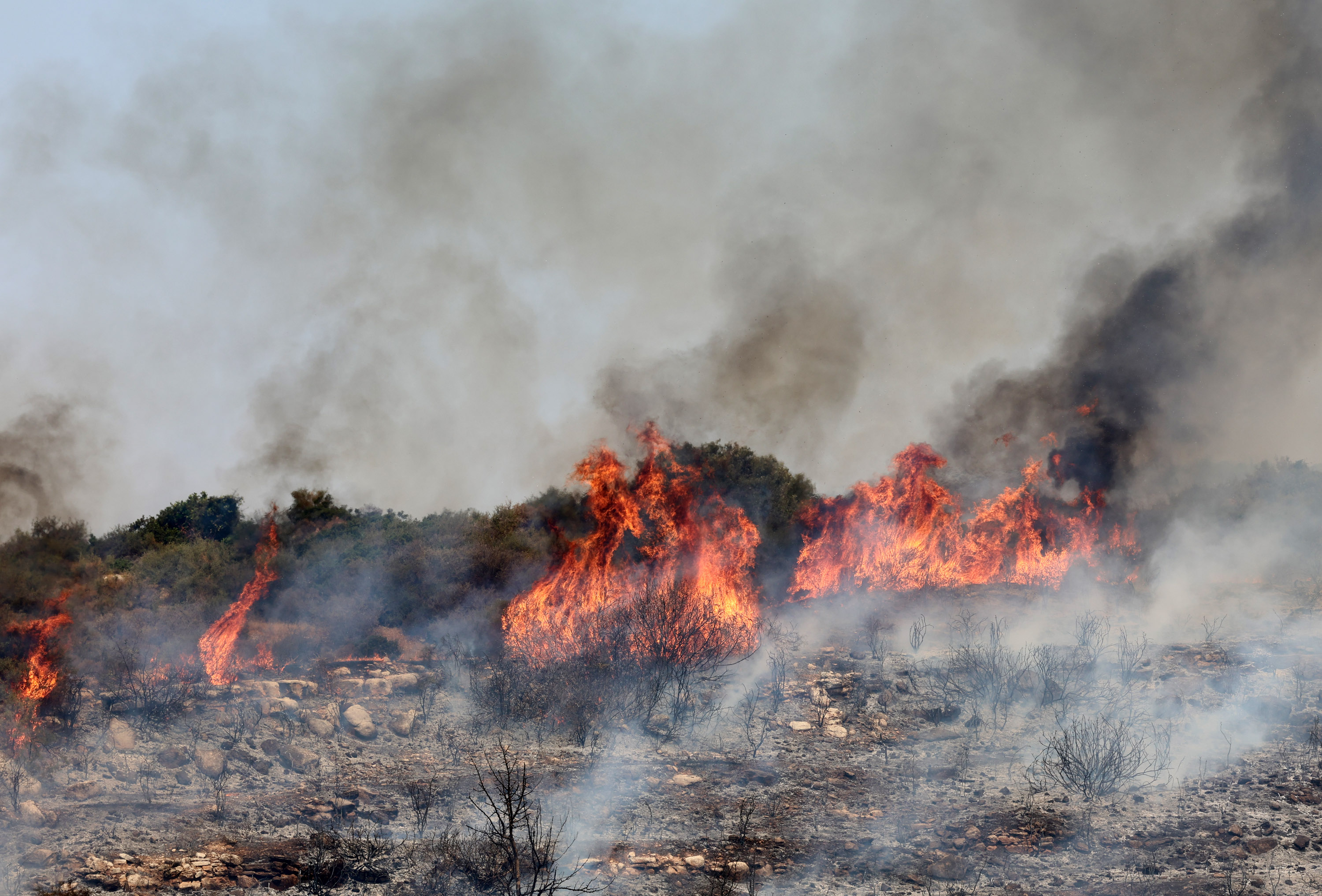 Limassol wildfire: a crisis we should have seen coming